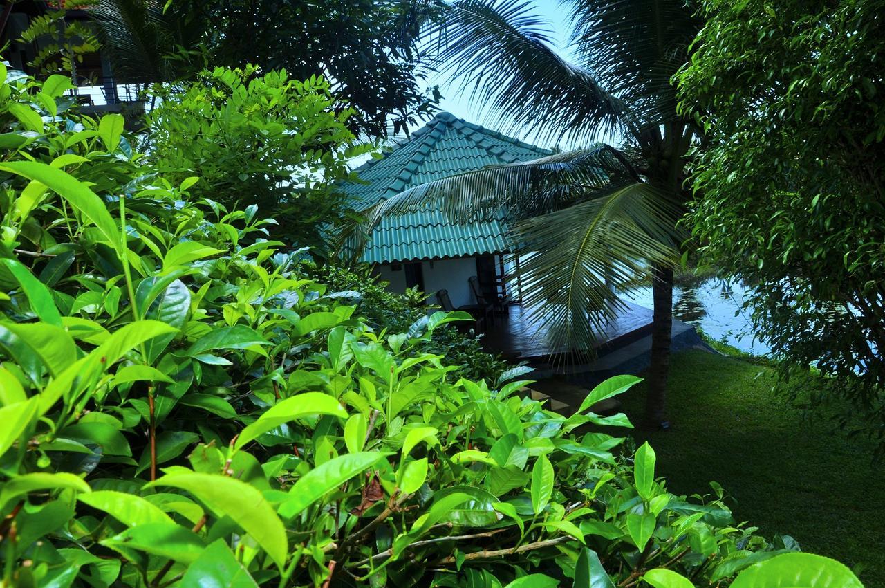 Jungle Heart Cabanas Danwattegoda Екстер'єр фото